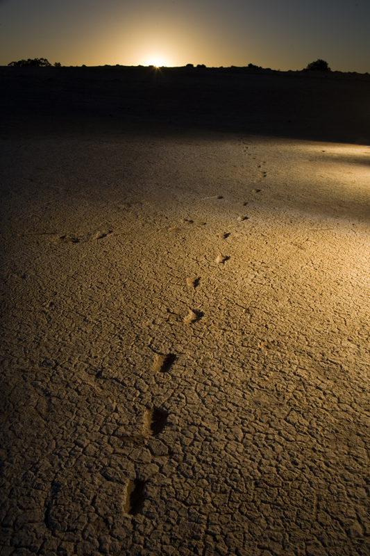 ancient footprints share mungo culture visit mungo national park