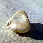 A grindstone from Willandra Lakes showing marks from pounding. Photo from 'Lake Mungo: Window to Australia's Past' CD-ROM © Jim Bowler.